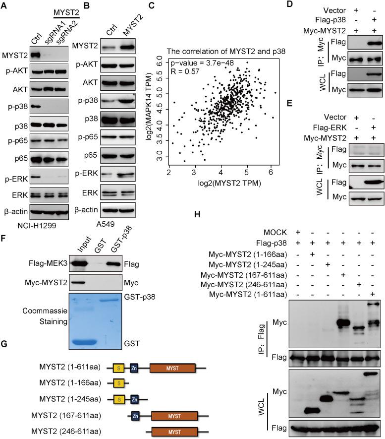 https://cdn.ncbi.nlm.nih.gov/pmc/blobs/9aa5/11629335/385a4cad6e57/gr4.jpg