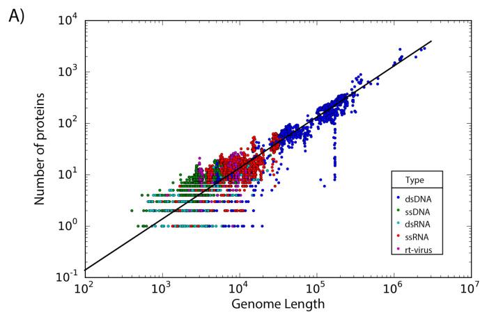 https://cdn.ncbi.nlm.nih.gov/pmc/blobs/9aa5/8234400/9f410b9a1038/viruses-13-01164-g002a.jpg