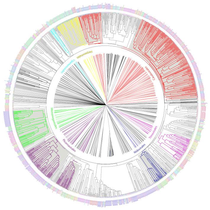 https://cdn.ncbi.nlm.nih.gov/pmc/blobs/9aa5/8234400/ecc4057f211b/viruses-13-01164-g005.jpg