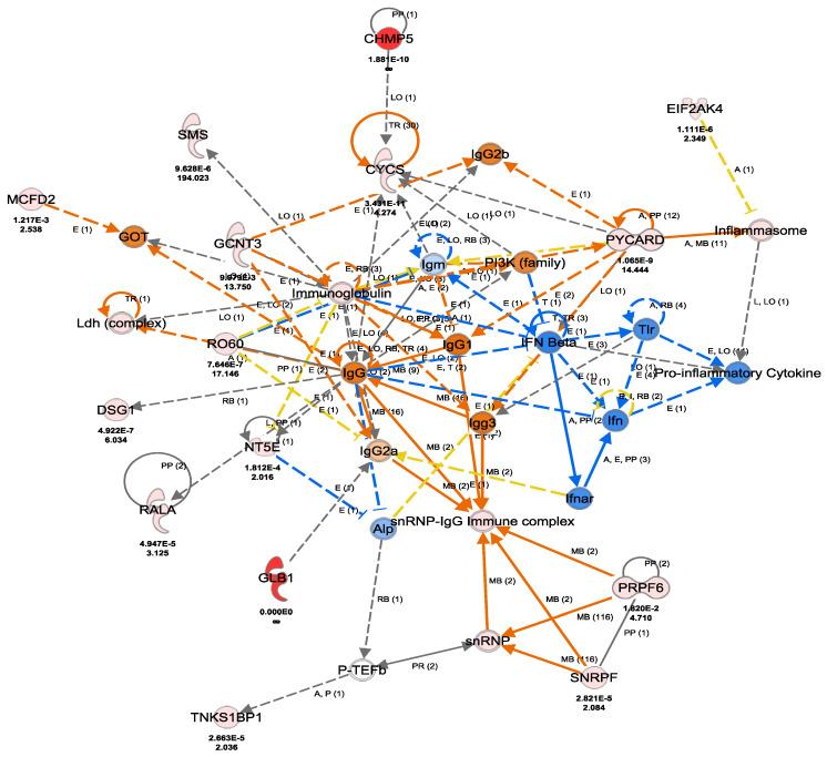https://cdn.ncbi.nlm.nih.gov/pmc/blobs/9aa6/9818697/e93b15dc7246/cells-12-00122-g010.jpg