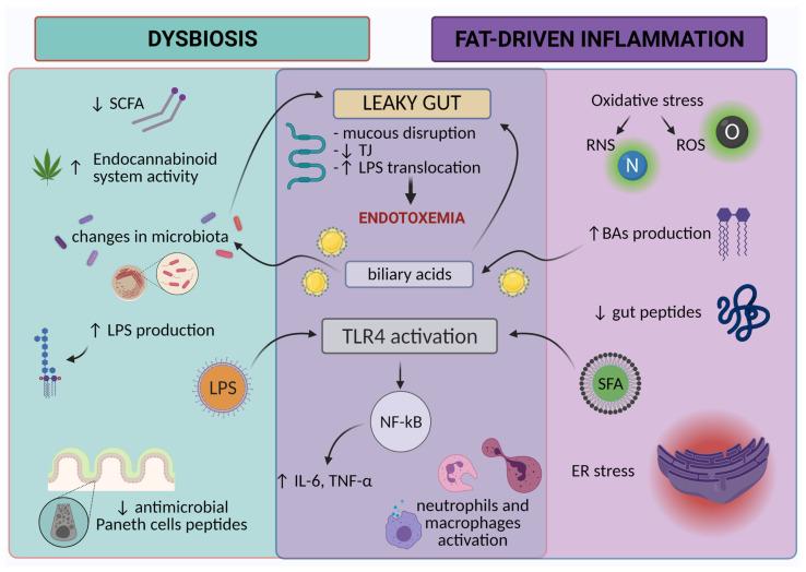 https://cdn.ncbi.nlm.nih.gov/pmc/blobs/9aa7/8619527/8a8bb3145684/cells-10-03164-g002.jpg