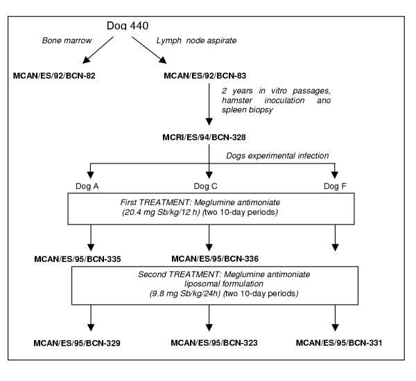 https://cdn.ncbi.nlm.nih.gov/pmc/blobs/9aa8/113748/0844c5fe17ec/1471-2210-2-11-1.jpg