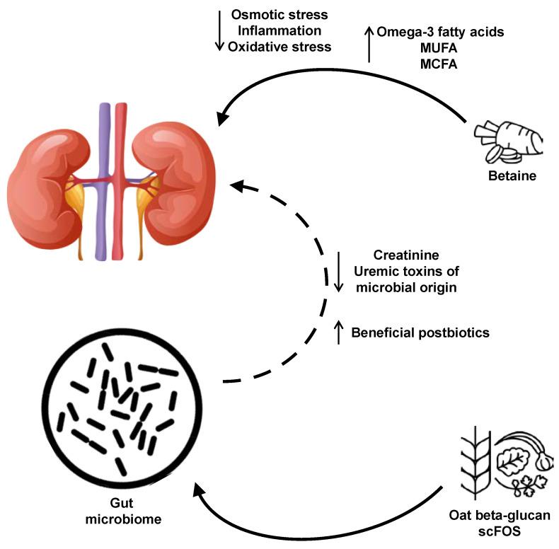 https://cdn.ncbi.nlm.nih.gov/pmc/blobs/9aaa/7570292/d33a0edfb653/metabolites-10-00370-g004.jpg