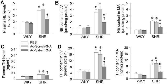 https://cdn.ncbi.nlm.nih.gov/pmc/blobs/9aac/5322393/7e4eeb933463/srep43259-f5.jpg