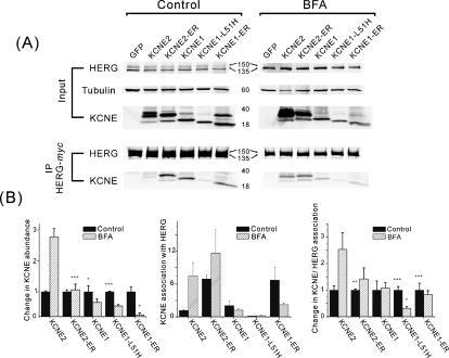 https://cdn.ncbi.nlm.nih.gov/pmc/blobs/9aae/1978535/4ab2fd238165/pone.0000933.g004.jpg