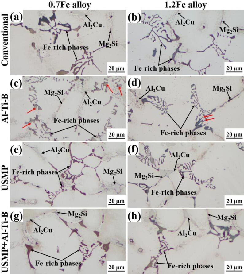 https://cdn.ncbi.nlm.nih.gov/pmc/blobs/9aaf/9440080/7e74cf296aee/gr4.jpg