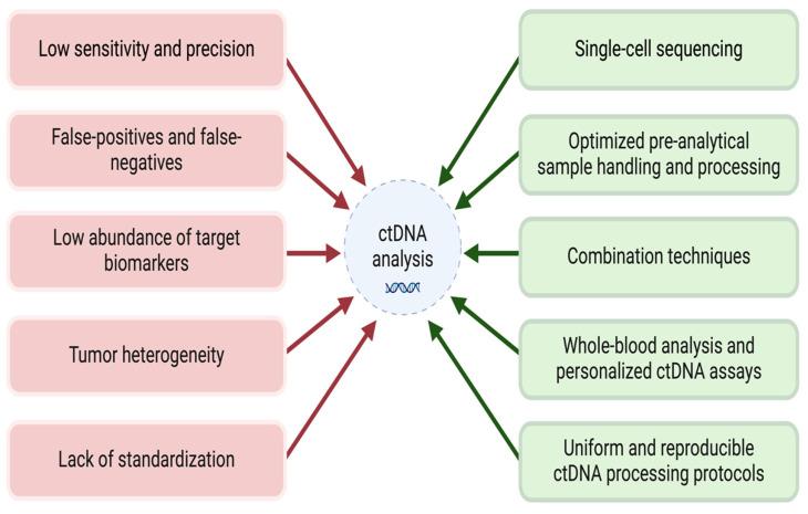 https://cdn.ncbi.nlm.nih.gov/pmc/blobs/9ab2/12346868/4d2c8ea98be4/cancers-17-02520-g002.jpg