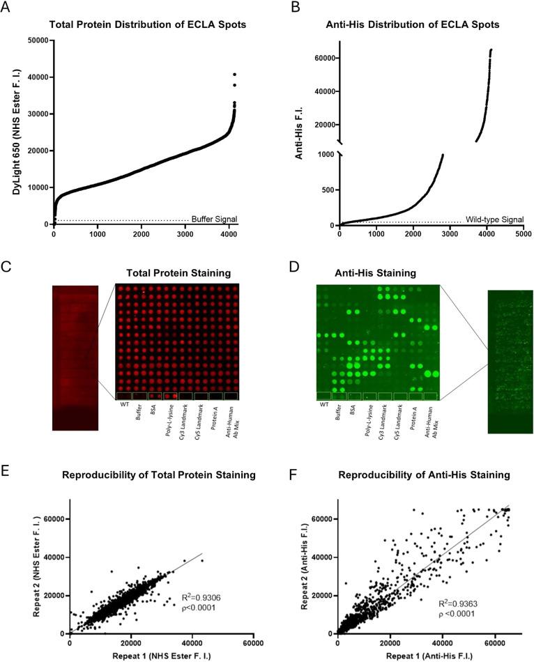 https://cdn.ncbi.nlm.nih.gov/pmc/blobs/9ab3/11140677/92fa1a6fc5dc/ac4c00965_0002.jpg
