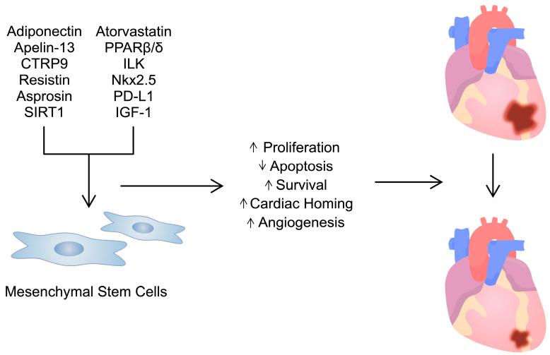 https://cdn.ncbi.nlm.nih.gov/pmc/blobs/9ab4/11011548/4fda9630c2e6/ijms-25-03901-g003.jpg