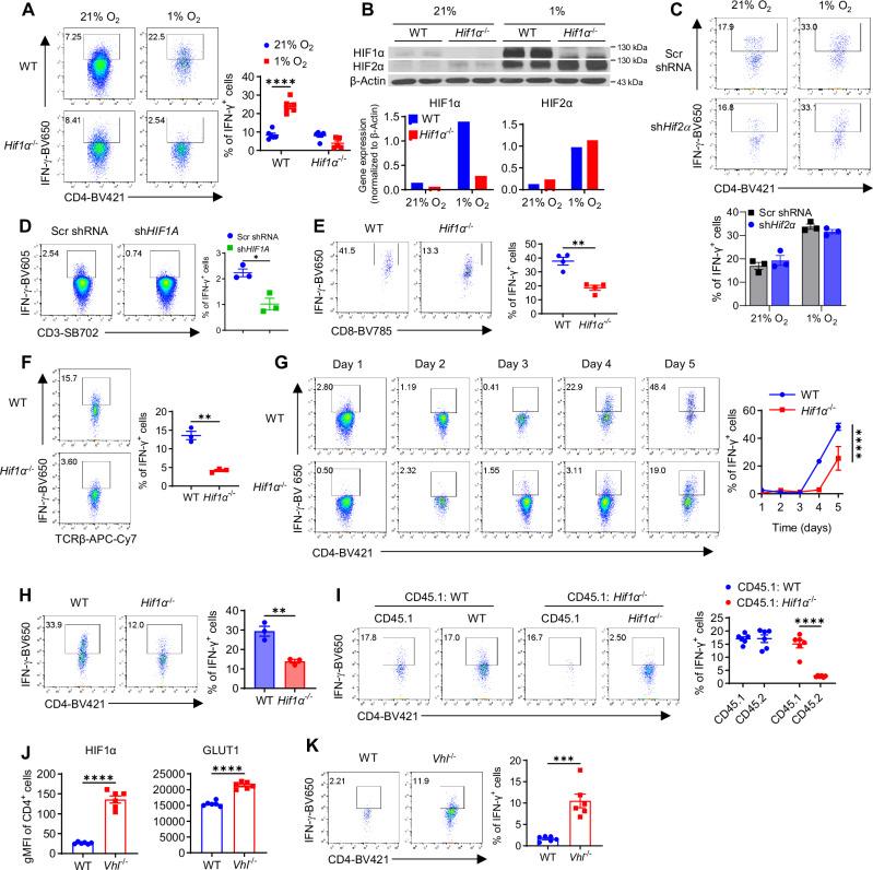 https://cdn.ncbi.nlm.nih.gov/pmc/blobs/9ab7/11526104/1745ba109299/41467_2024_53593_Fig1_HTML.jpg