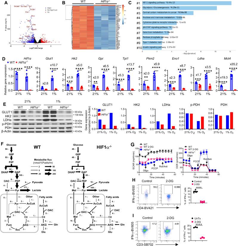 https://cdn.ncbi.nlm.nih.gov/pmc/blobs/9ab7/11526104/6762b635dd70/41467_2024_53593_Fig2_HTML.jpg