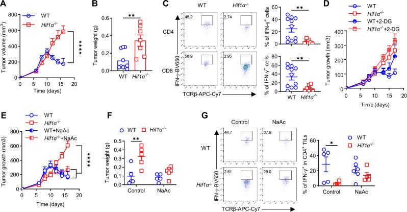 https://cdn.ncbi.nlm.nih.gov/pmc/blobs/9ab7/11526104/a63b711e3914/41467_2024_53593_Fig7_HTML.jpg
