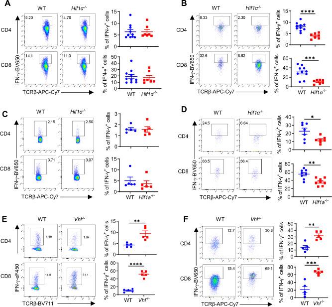 https://cdn.ncbi.nlm.nih.gov/pmc/blobs/9ab7/11526104/c0149482eeb6/41467_2024_53593_Fig6_HTML.jpg