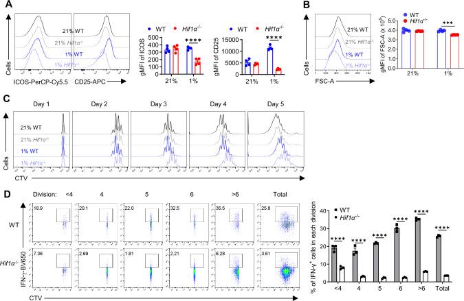 https://cdn.ncbi.nlm.nih.gov/pmc/blobs/9ab7/11526104/d06d490a6d7e/41467_2024_53593_Fig4_HTML.jpg