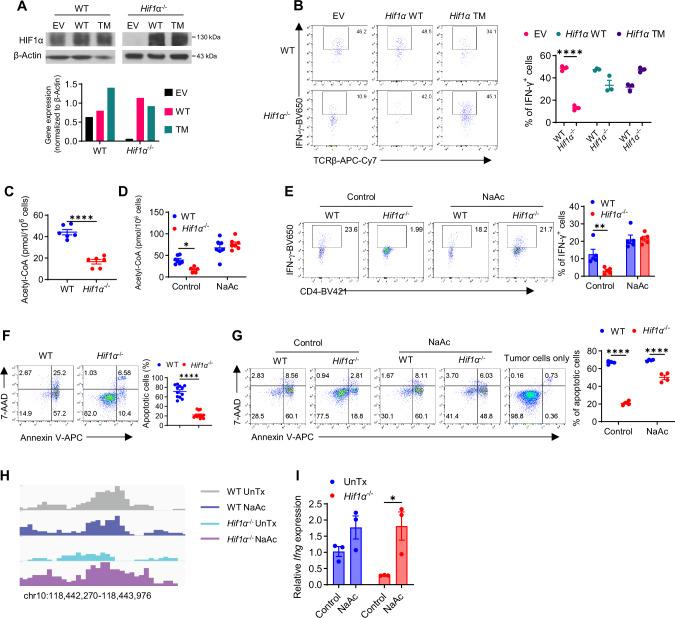 https://cdn.ncbi.nlm.nih.gov/pmc/blobs/9ab7/11526104/e50200942444/41467_2024_53593_Fig3_HTML.jpg