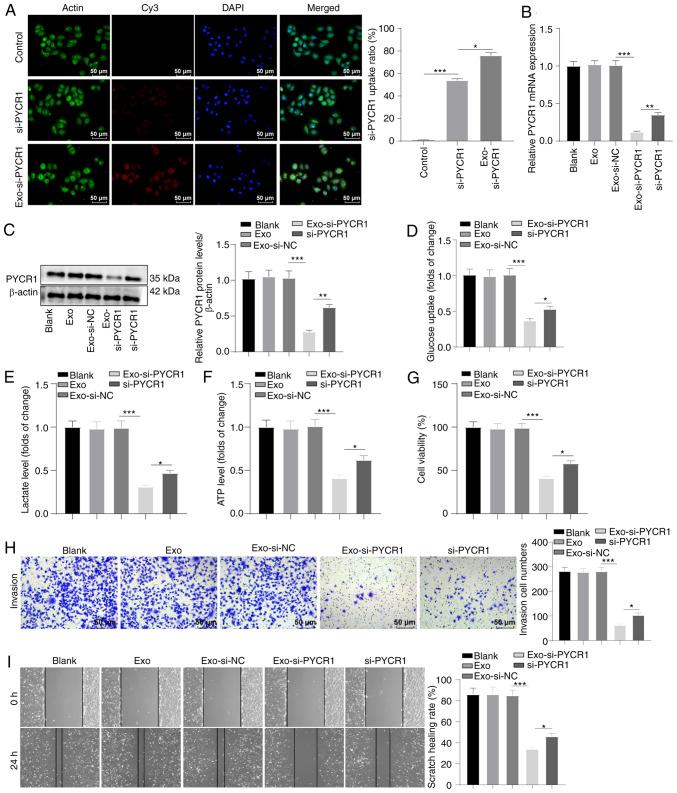 https://cdn.ncbi.nlm.nih.gov/pmc/blobs/9ab9/10552724/426e1edbc472/IJO-63-1-05532-g05.jpg