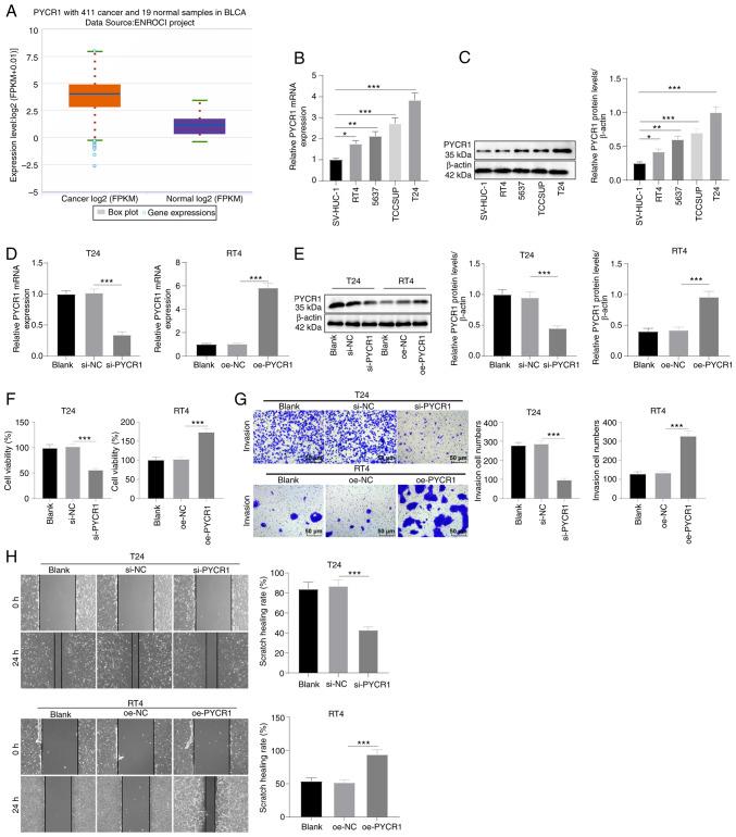 https://cdn.ncbi.nlm.nih.gov/pmc/blobs/9ab9/10552724/f93100d9cb50/IJO-63-1-05532-g00.jpg