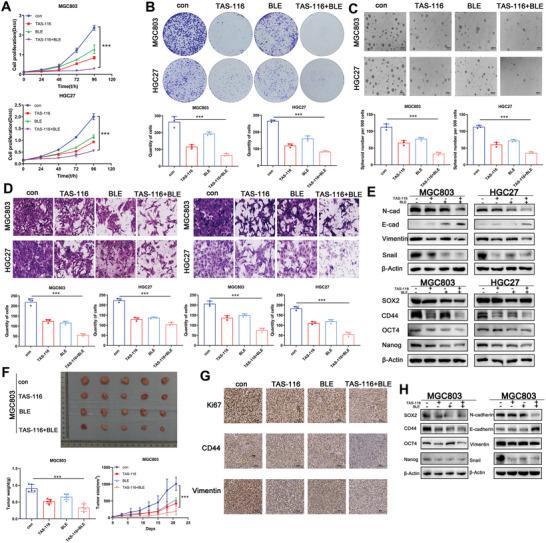 https://cdn.ncbi.nlm.nih.gov/pmc/blobs/9ab9/11434123/225eb5300bc6/ADVS-11-2310109-g003.jpg