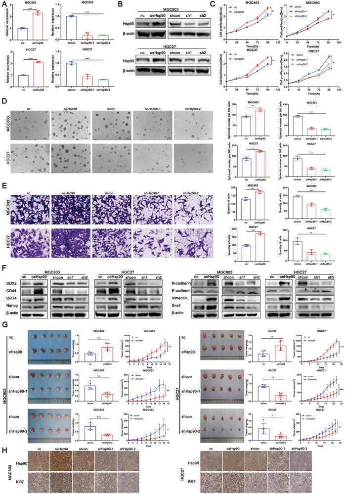 https://cdn.ncbi.nlm.nih.gov/pmc/blobs/9ab9/11434123/82ce71286bf7/ADVS-11-2310109-g004.jpg