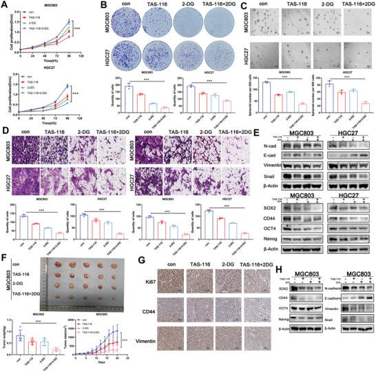https://cdn.ncbi.nlm.nih.gov/pmc/blobs/9ab9/11434123/ae658e0b764e/ADVS-11-2310109-g002.jpg