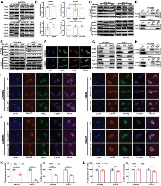 https://cdn.ncbi.nlm.nih.gov/pmc/blobs/9ab9/11434123/c3894415d46f/ADVS-11-2310109-g008.jpg