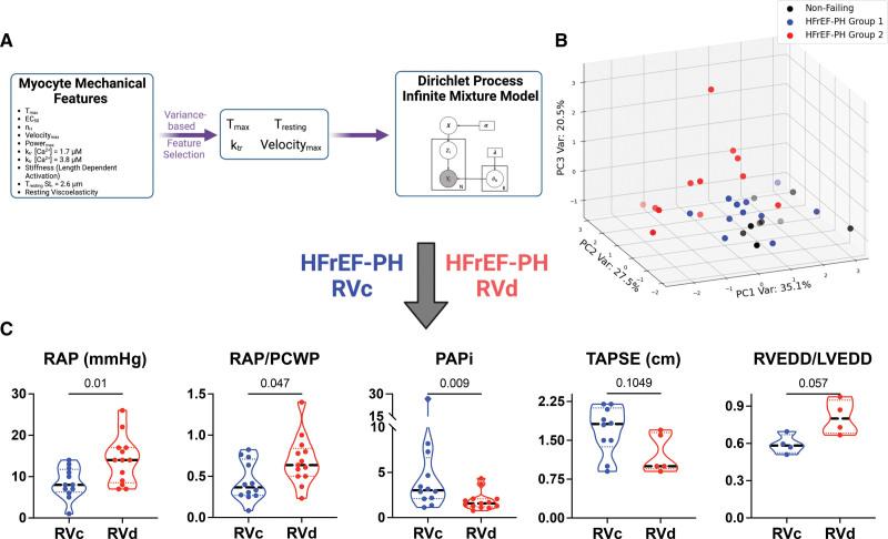 https://cdn.ncbi.nlm.nih.gov/pmc/blobs/9abc/10270283/cc50c432f032/cir-147-1919-g002.jpg