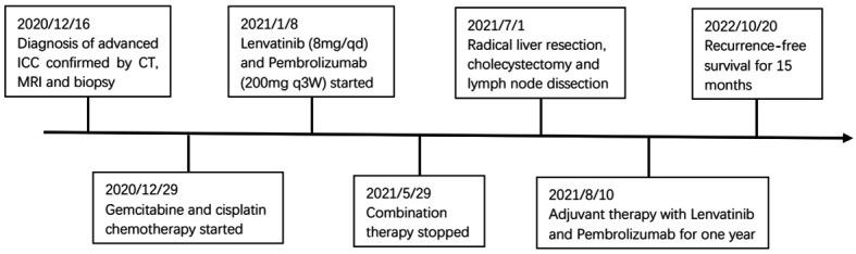 https://cdn.ncbi.nlm.nih.gov/pmc/blobs/9abc/9868150/1f2d9f654fef/fimmu-13-1079342-g004.jpg