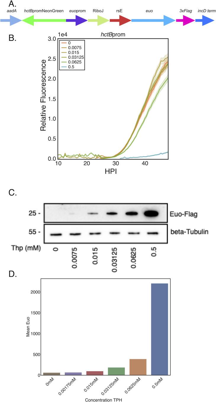 https://cdn.ncbi.nlm.nih.gov/pmc/blobs/9abf/11423577/cfe41f4168e5/msphere.00437-24.f006.jpg