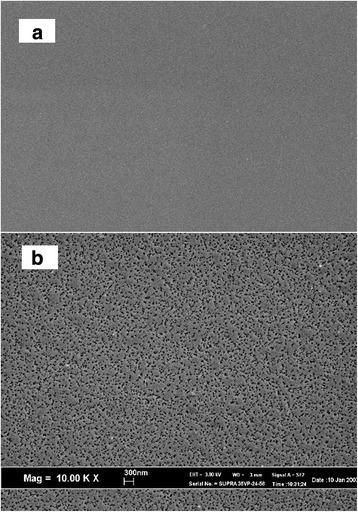 https://cdn.ncbi.nlm.nih.gov/pmc/blobs/9abf/5483226/e4ad70931308/11671_2017_2197_Fig1_HTML.jpg