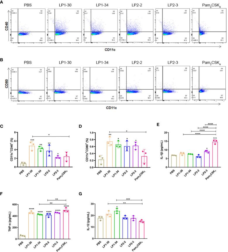 https://cdn.ncbi.nlm.nih.gov/pmc/blobs/9abf/8959576/03e1e3747699/fimmu-13-833418-g003.jpg