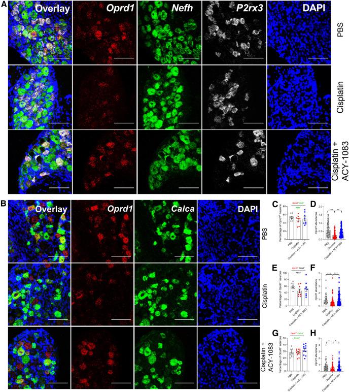 https://cdn.ncbi.nlm.nih.gov/pmc/blobs/9abf/9617617/6ecbfeafabcb/SN-JNSJ220624F004.jpg