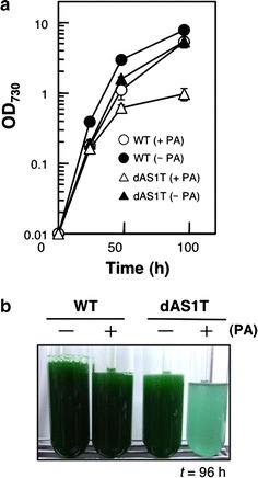 https://cdn.ncbi.nlm.nih.gov/pmc/blobs/9ac0/5452621/ac8ccd56e4f1/13068_2017_831_Fig1_HTML.jpg
