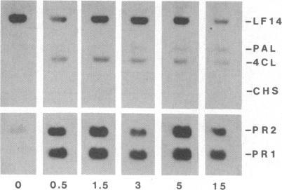 https://cdn.ncbi.nlm.nih.gov/pmc/blobs/9ac2/323310/60dcf701c50f/pnas00312-0155-a.jpg
