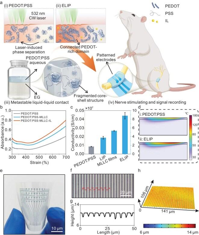 https://cdn.ncbi.nlm.nih.gov/pmc/blobs/9ac3/12086669/7db8b2c117fa/nwaf136fig1.jpg