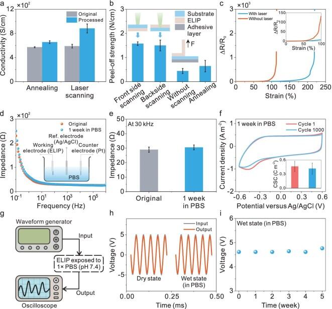 https://cdn.ncbi.nlm.nih.gov/pmc/blobs/9ac3/12086669/bcc22b41b9b0/nwaf136fig3.jpg
