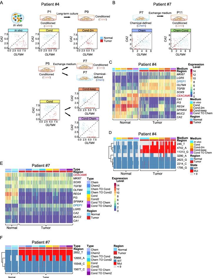 https://cdn.ncbi.nlm.nih.gov/pmc/blobs/9ac3/9047329/7b3255070317/13059_2022_2673_Fig5_HTML.jpg