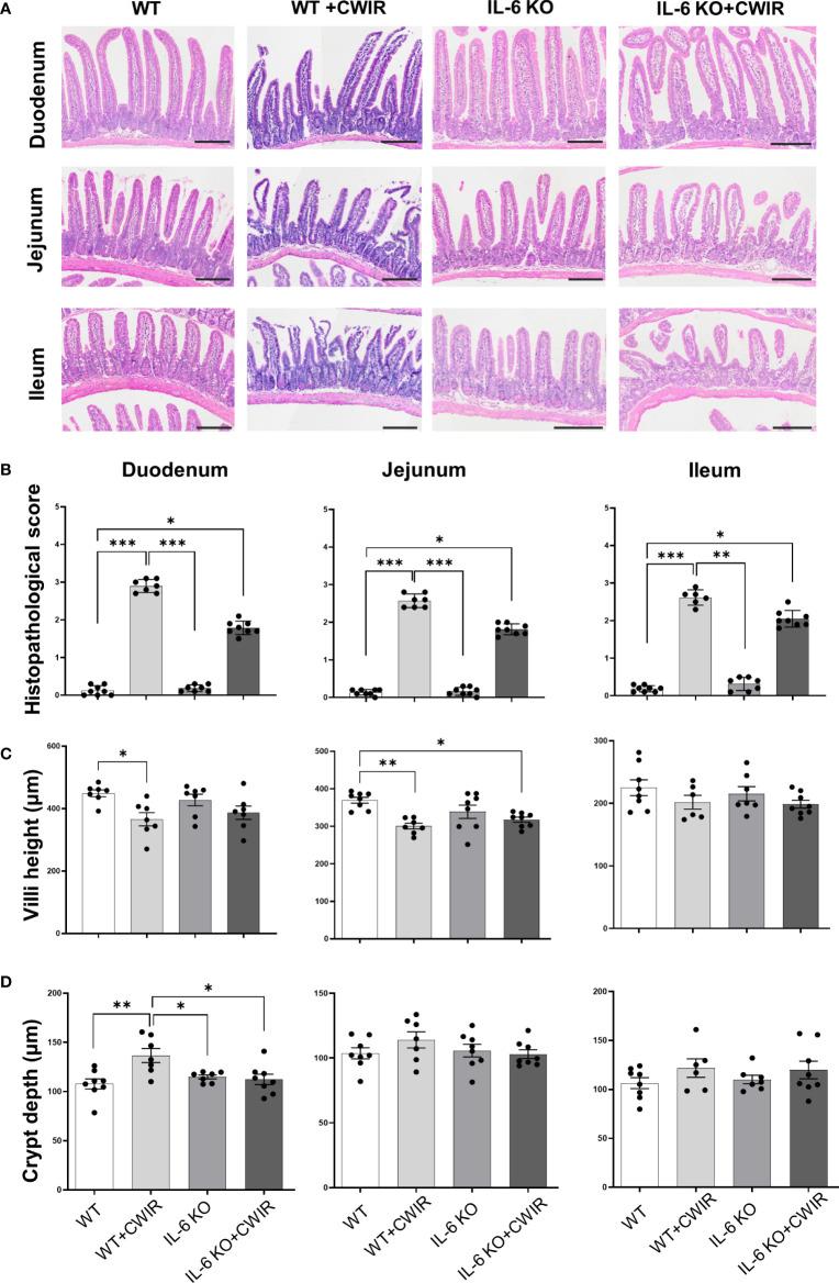 https://cdn.ncbi.nlm.nih.gov/pmc/blobs/9ac3/9732082/fd0b6979bfb6/fimmu-13-936689-g001.jpg