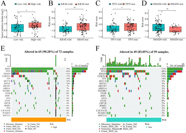 https://cdn.ncbi.nlm.nih.gov/pmc/blobs/9ac5/12146241/26194312321c/12672_2025_2838_Fig6_HTML.jpg