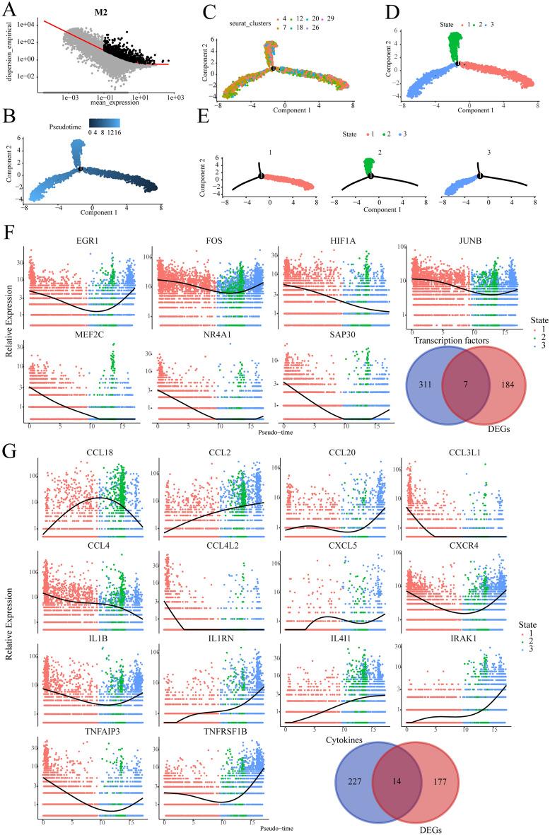 https://cdn.ncbi.nlm.nih.gov/pmc/blobs/9ac5/12146241/37ef28e9931d/12672_2025_2838_Fig3_HTML.jpg