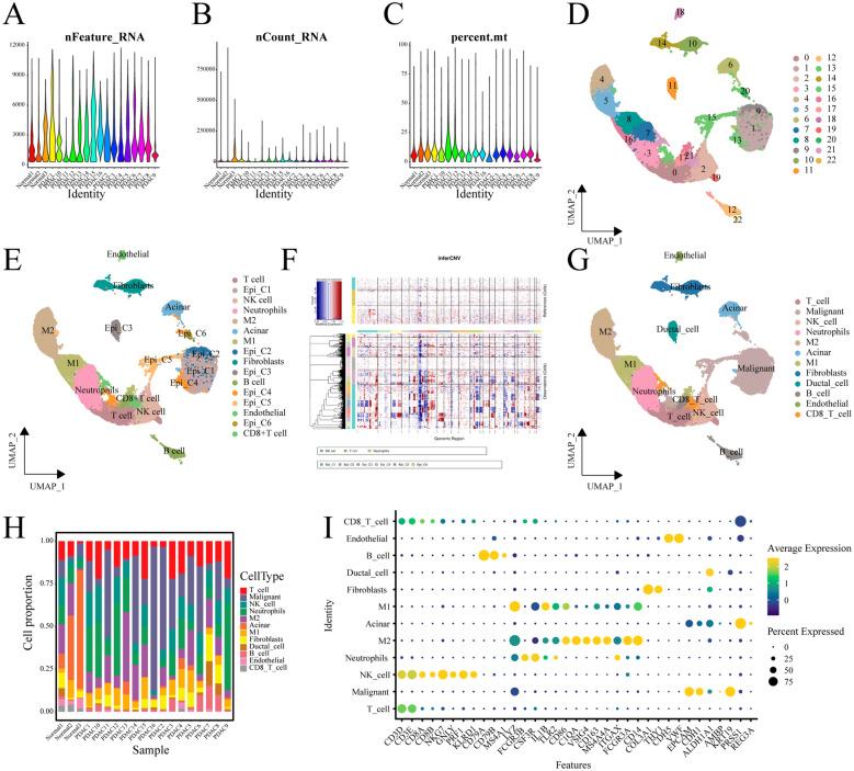 https://cdn.ncbi.nlm.nih.gov/pmc/blobs/9ac5/12146241/ad87bfb0fa63/12672_2025_2838_Fig2_HTML.jpg