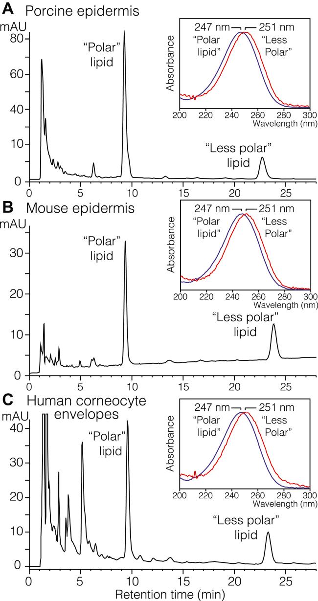 https://cdn.ncbi.nlm.nih.gov/pmc/blobs/9ac6/10209020/8bde2751c754/gr2.jpg