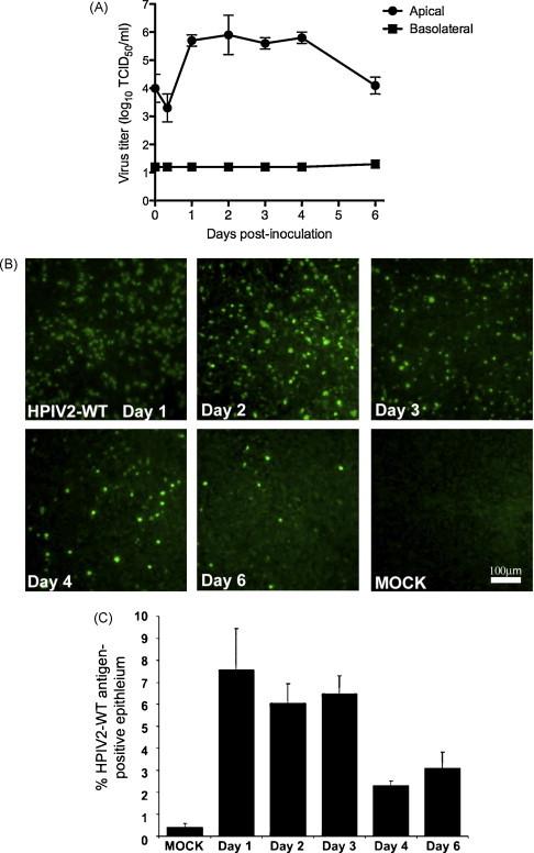 https://cdn.ncbi.nlm.nih.gov/pmc/blobs/9ac8/7126223/2cd813589959/gr1.jpg