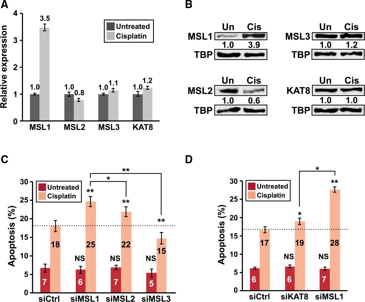 https://cdn.ncbi.nlm.nih.gov/pmc/blobs/9ac8/8580136/722ce2365ed5/nihms-1747910-f0008.jpg