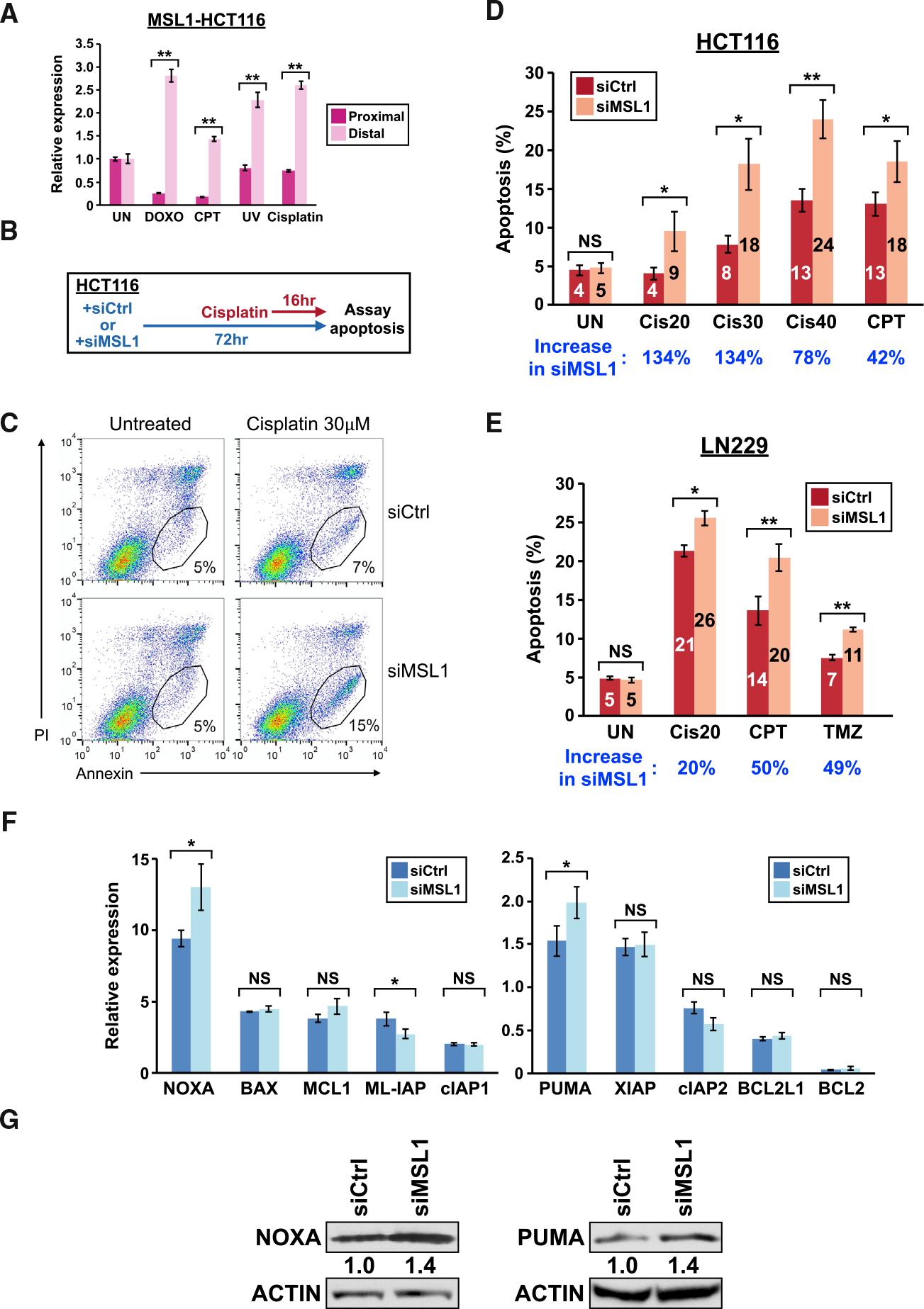 https://cdn.ncbi.nlm.nih.gov/pmc/blobs/9ac8/8580136/8c73c316d9e4/nihms-1747910-f0005.jpg