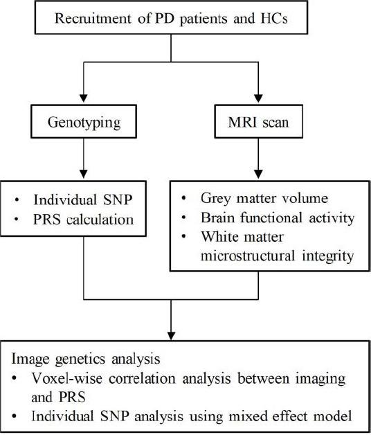 https://cdn.ncbi.nlm.nih.gov/pmc/blobs/9ac8/9827791/46df6a90e830/NRR-18-1154-g002.jpg