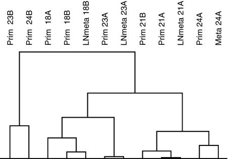 https://cdn.ncbi.nlm.nih.gov/pmc/blobs/9aca/2361648/1a20e64ed8b4/93-6602794f3.jpg