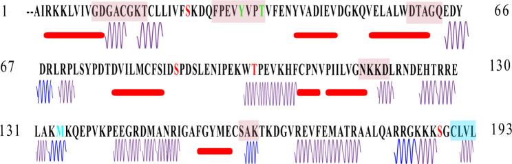 https://cdn.ncbi.nlm.nih.gov/pmc/blobs/9acb/11475559/f3c26439747e/12935_2024_3519_Fig1_HTML.jpg