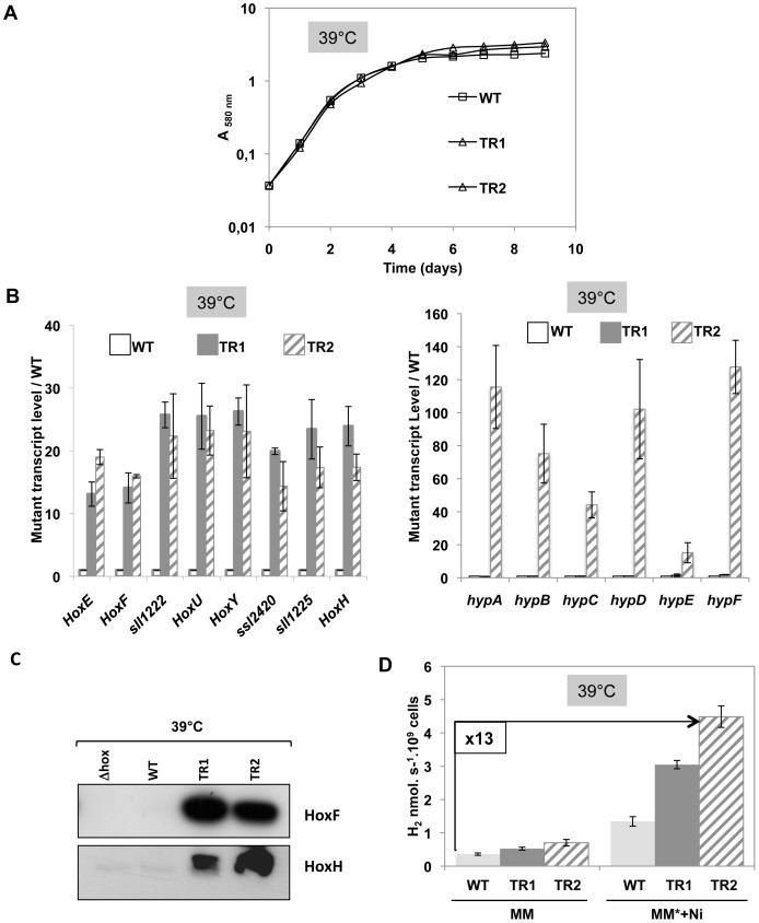 https://cdn.ncbi.nlm.nih.gov/pmc/blobs/9acf/3933540/d292588c41c8/pone.0089372.g003.jpg