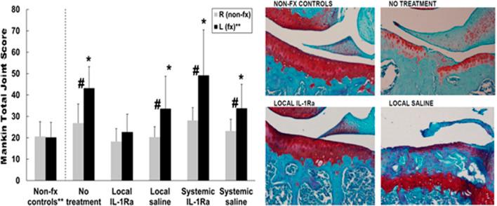 https://cdn.ncbi.nlm.nih.gov/pmc/blobs/9ad0/10166366/f815b8c08097/oi9-6-e232-g001.jpg
