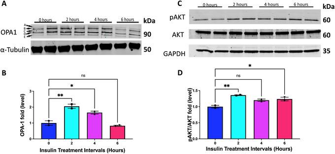https://cdn.ncbi.nlm.nih.gov/pmc/blobs/9ad2/11795335/136f8e5d503e/CPZ1-5-0-g004.jpg